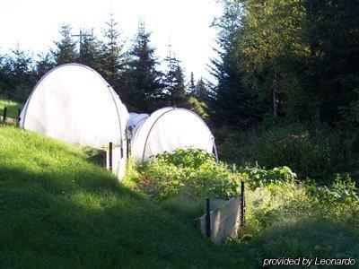 The Spyglass Inn Homer Exterior foto